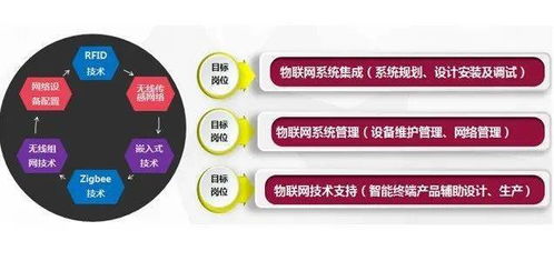 特色專業(yè)介紹丨物聯(lián)網(wǎng)應(yīng)用技術(shù)專業(yè) 網(wǎng)絡(luò)技術(shù)開發(fā)的創(chuàng)新引擎